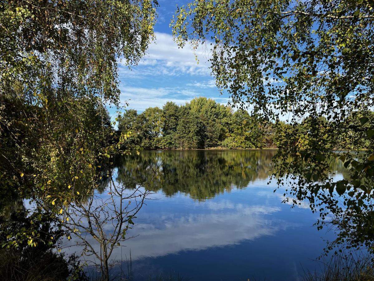 Ferienwohnung Am See Dillich - Ruhige Lage - Eigener Garten - Direkt Neben Einem Natursee 보르켄 외부 사진