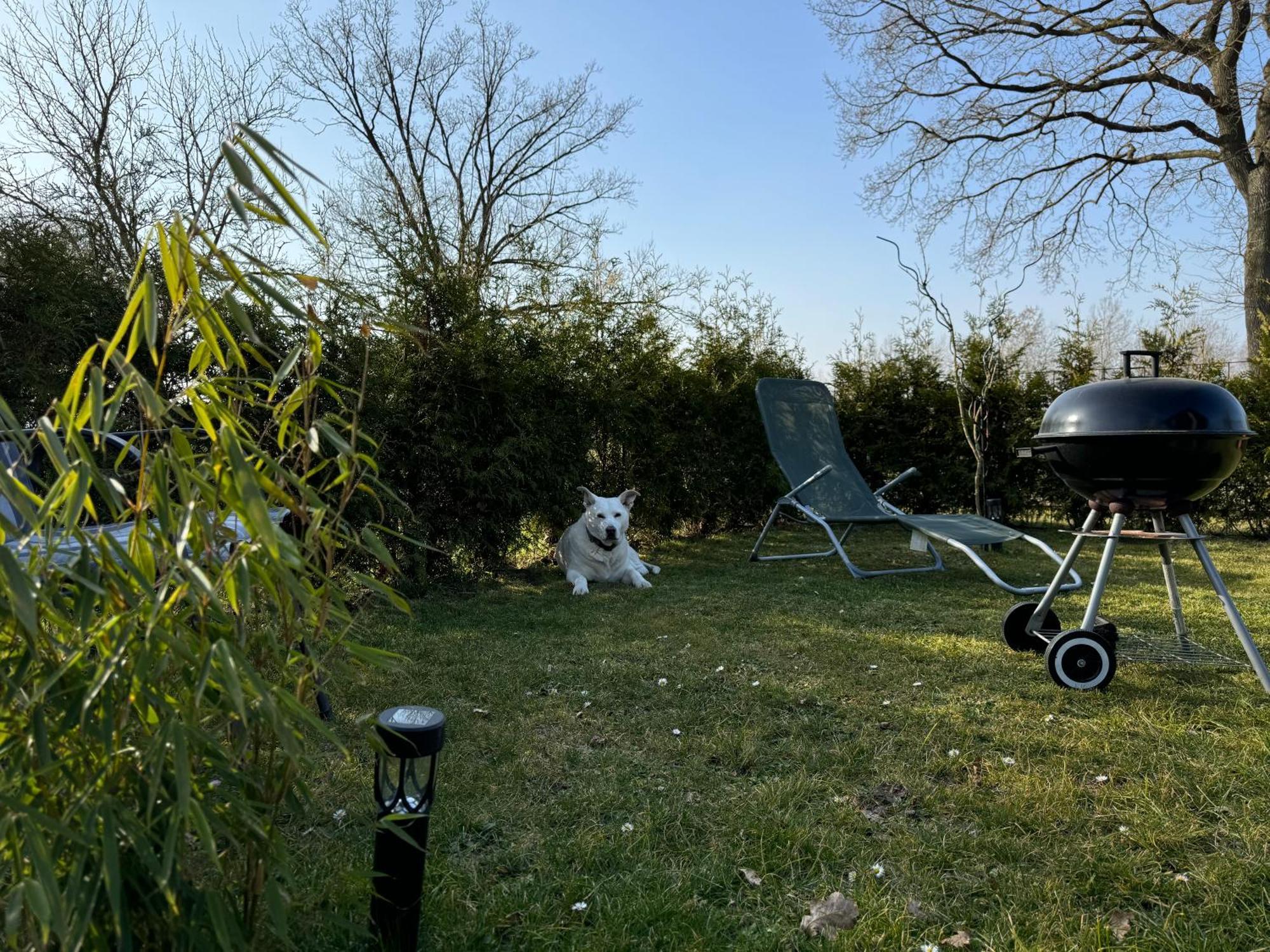 Ferienwohnung Am See Dillich - Ruhige Lage - Eigener Garten - Direkt Neben Einem Natursee 보르켄 외부 사진