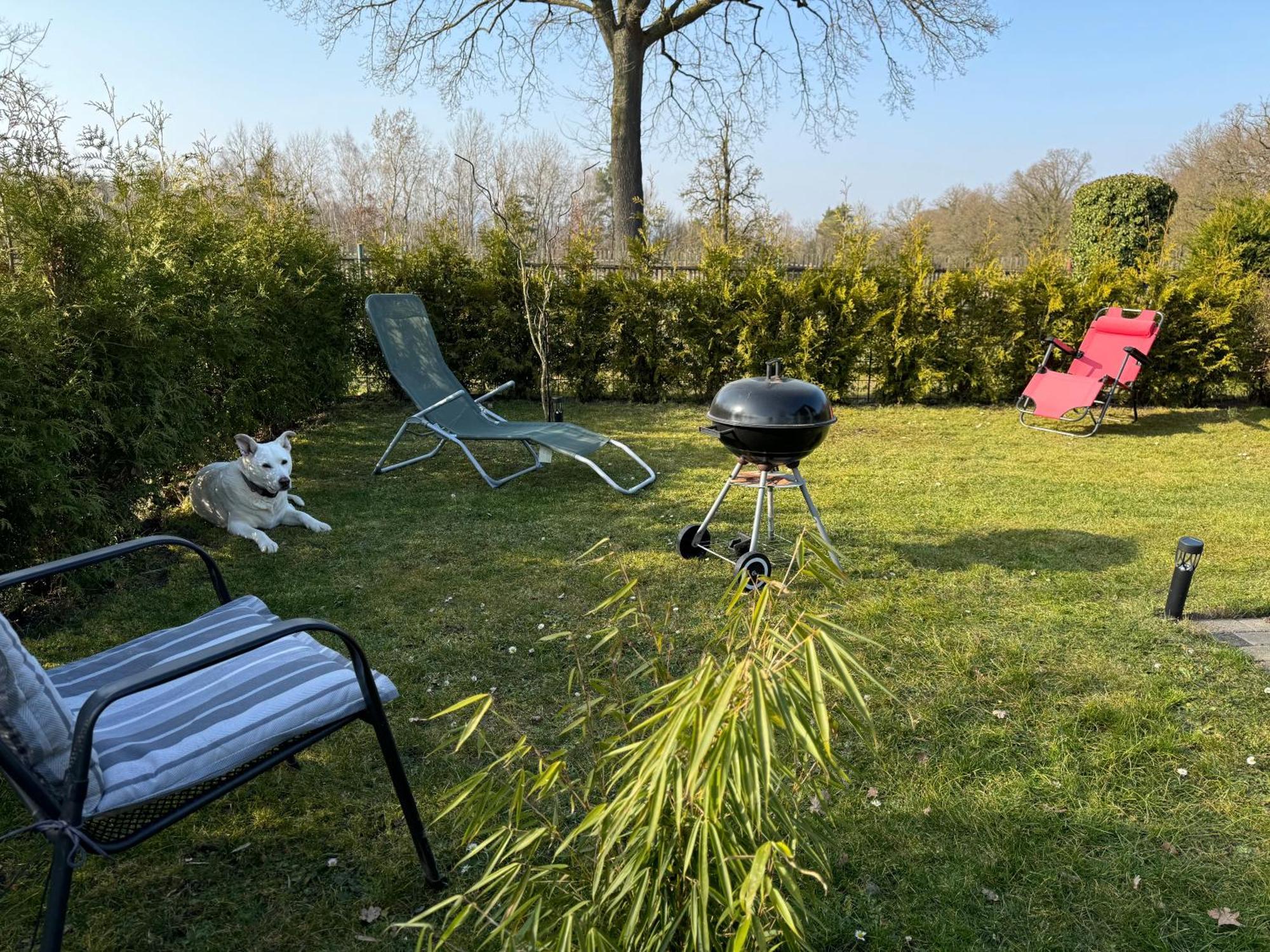 Ferienwohnung Am See Dillich - Ruhige Lage - Eigener Garten - Direkt Neben Einem Natursee 보르켄 외부 사진