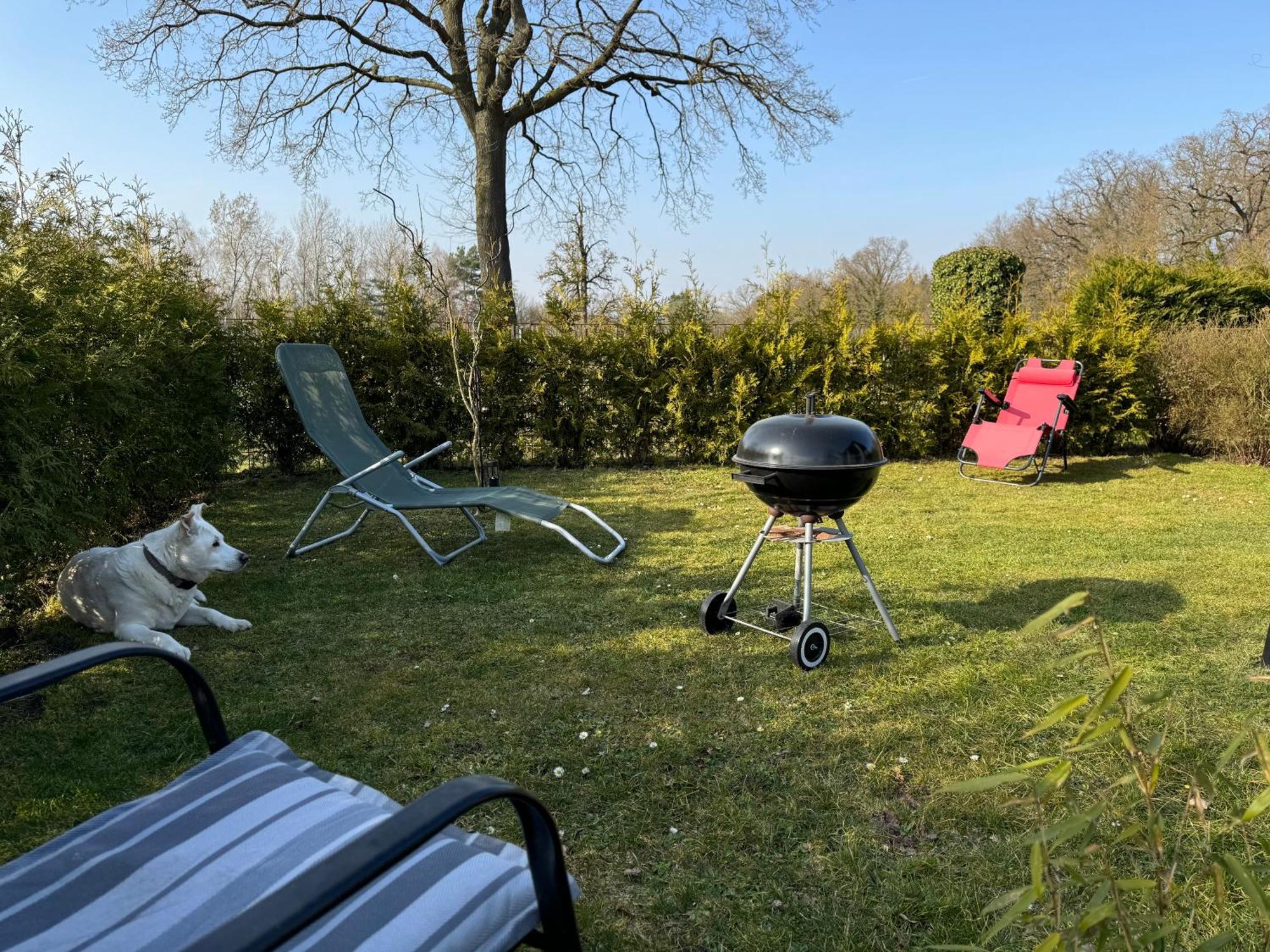 Ferienwohnung Am See Dillich - Ruhige Lage - Eigener Garten - Direkt Neben Einem Natursee 보르켄 외부 사진
