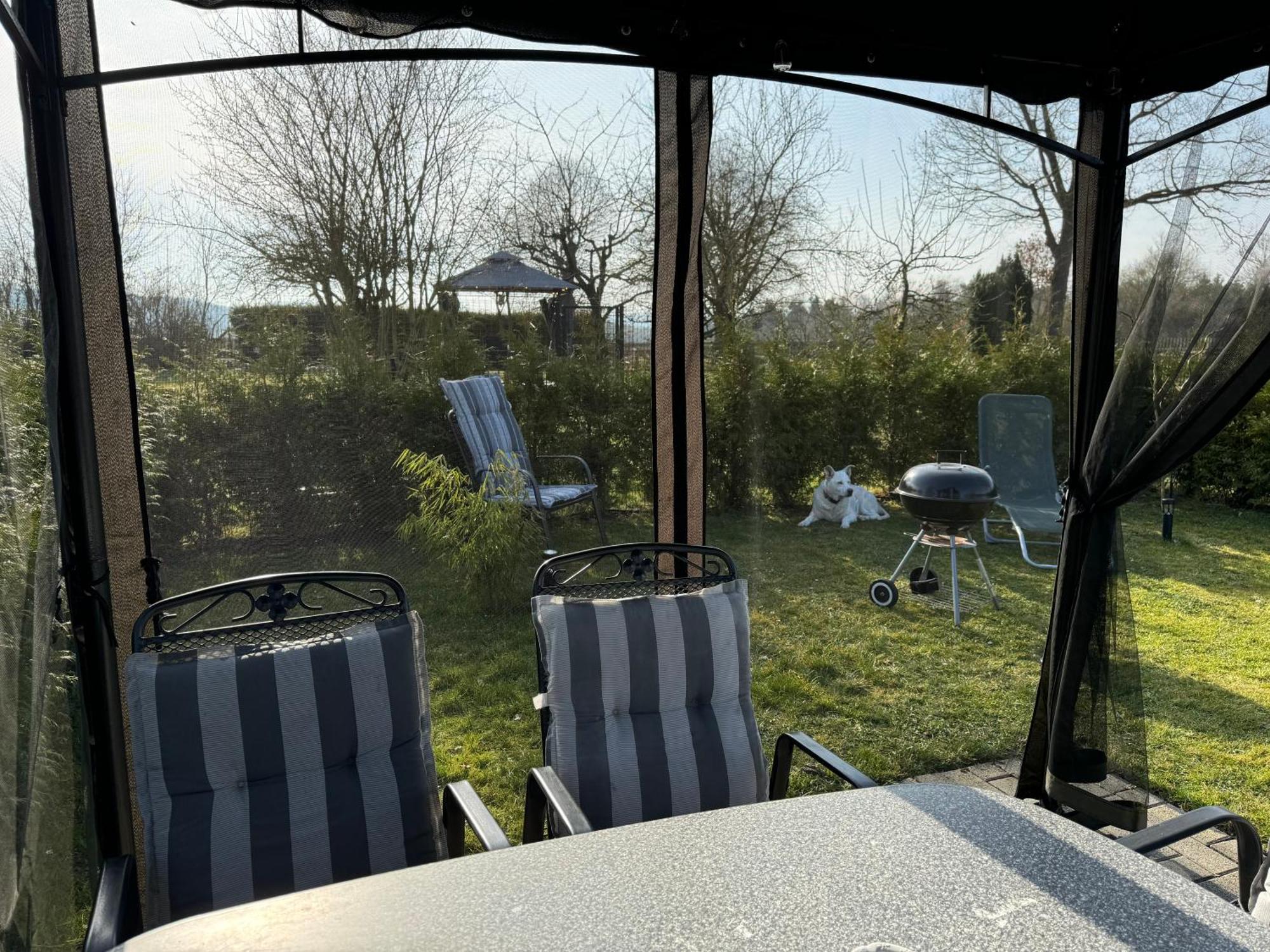 Ferienwohnung Am See Dillich - Ruhige Lage - Eigener Garten - Direkt Neben Einem Natursee 보르켄 외부 사진